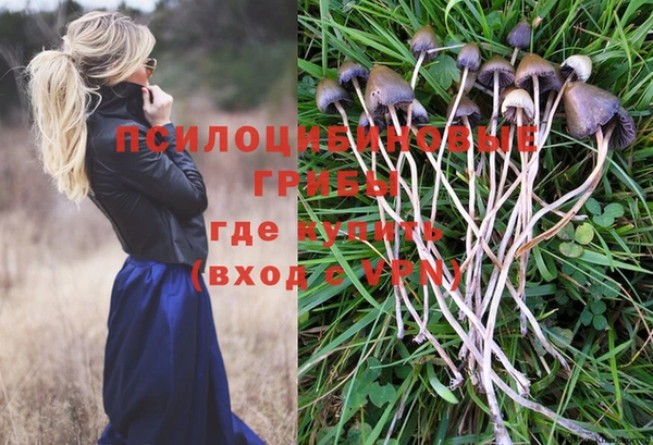 MDMA Premium VHQ Ряжск