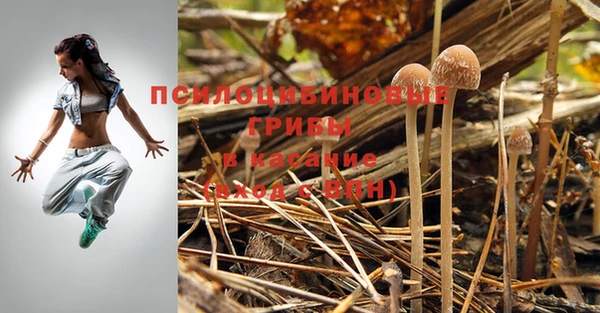 кристаллы Саки
