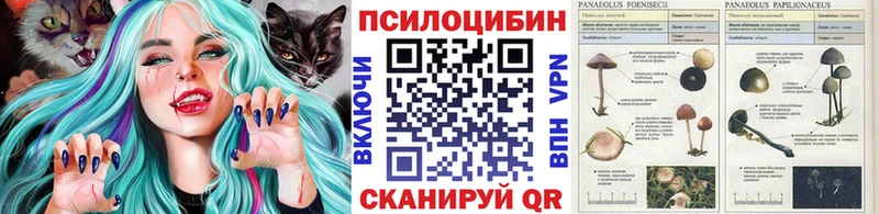 Галлюциногенные грибы ЛСД  купить  сайты  Южно-Сахалинск 