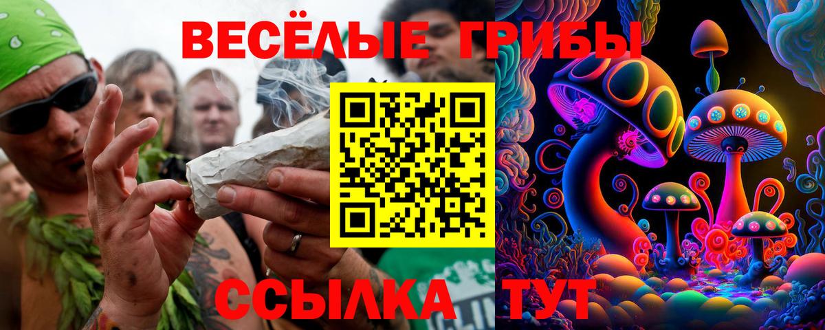 Псилоцибиновые грибы MAGIC MUSHROOMS Южно-Сахалинск